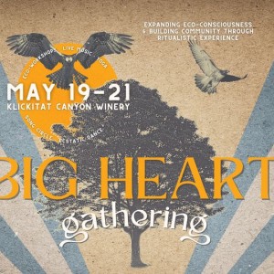 337510259 1439632516789093 5164975895948227343 n