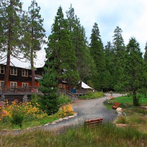 342695715 781185957008128 4504219038517227163 n